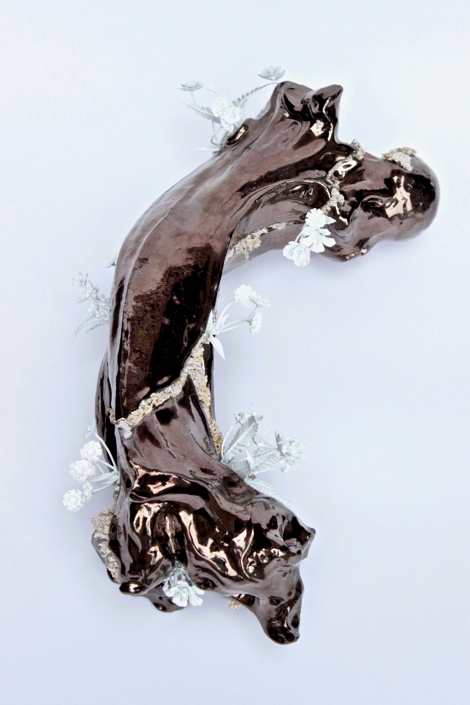 Descending Bone